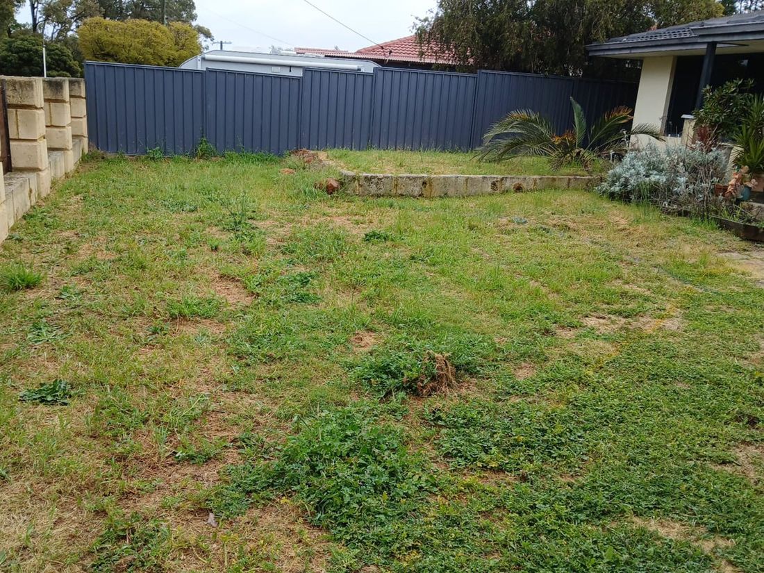 Lawn Restoration before Kizzas Contracting attended